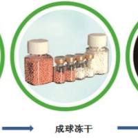 热启动Bst 4.2 LAMP扩增试剂--Buckets Stop Here！ ——————热启动、低引物用量、全系70℃扩增、速度快、高特异性