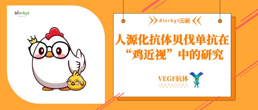 【Biorbyt文献】VEGF抗体：贝伐单抗对"鸡剥夺性近视"的影响