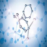 DNA酶Ⅰ样蛋白3(DNASE1L3)重组蛋白