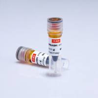 核酸电泳染料(紫外光型)