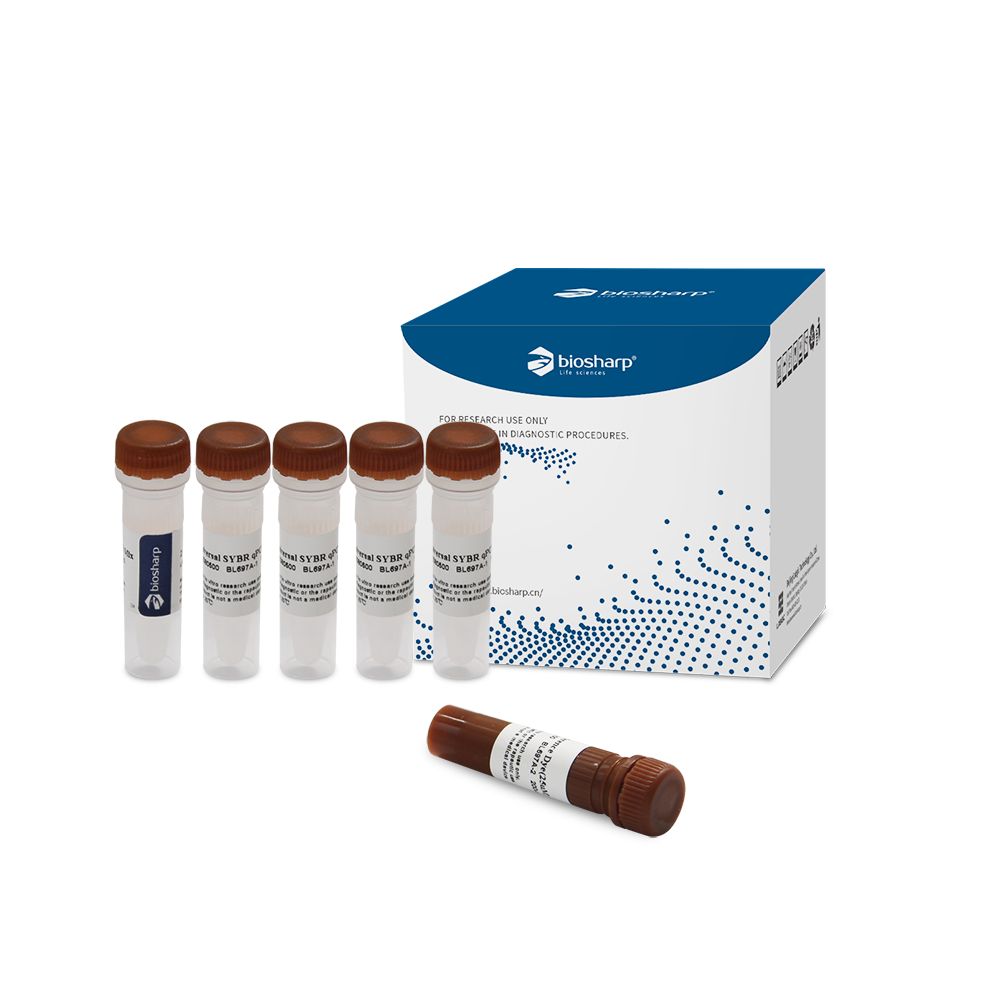 BL697A通用荧光定量PCR试剂盒（Universal SYBR qPCR Master Mix）