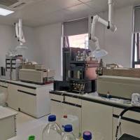 血液/血浆分布比率