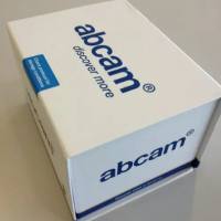 Anti-Glypican 3 antibody