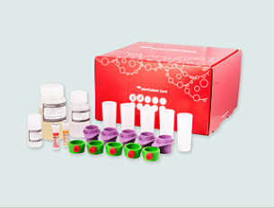 安诺伦生物全国授权代理Pluriselect-usa品牌产品