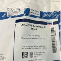19133   Proteinase K (10 ml)