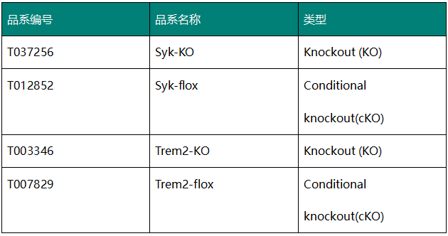 美国华盛顿大学医学院证明SYK是小胶质细胞切入AD治疗的关键