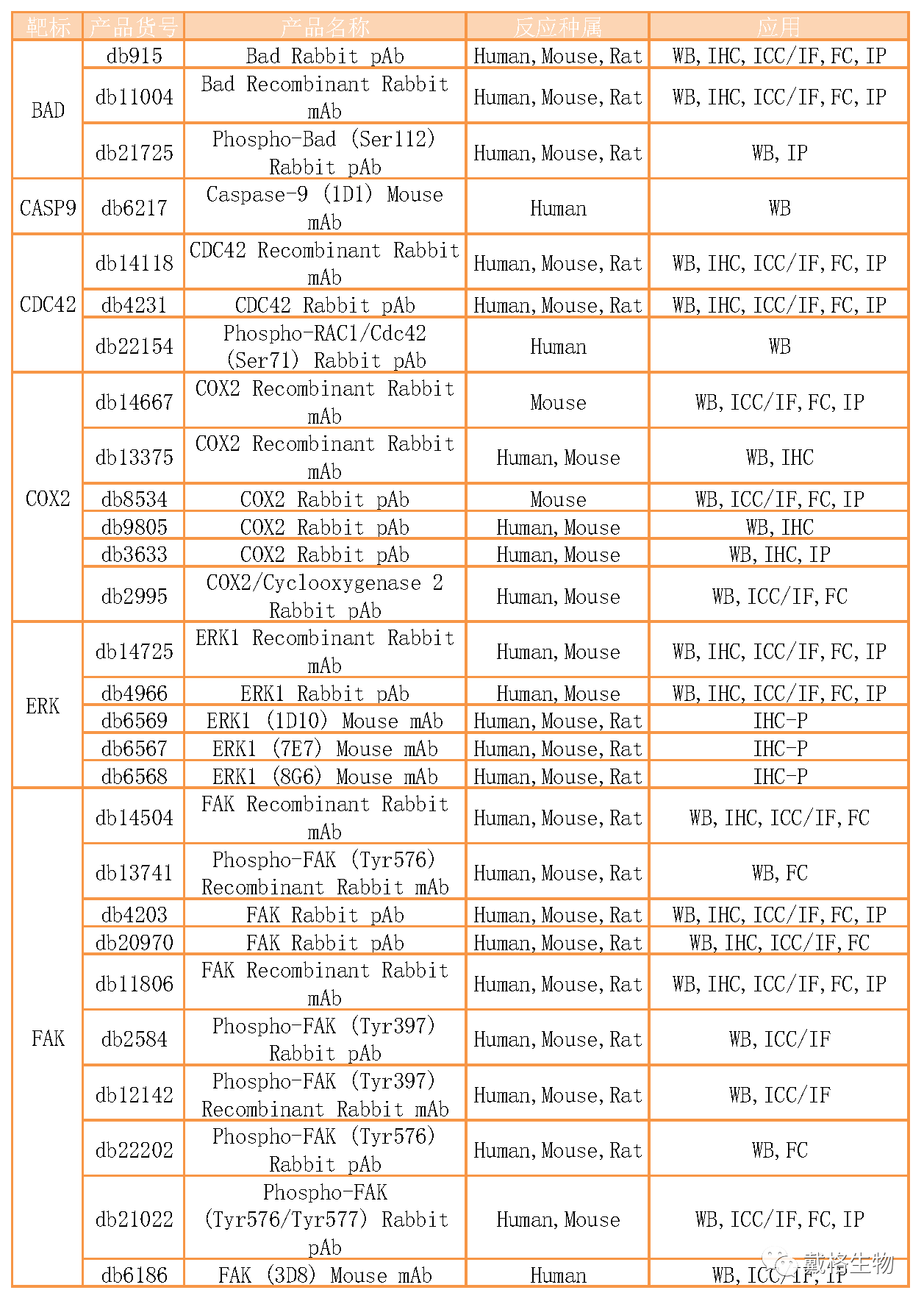 心血管相关——VEGF信号通路