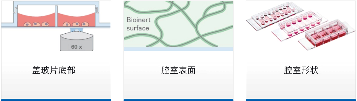 ibidi成像腔室载玻片|多种规格形状为您的实验提供理想的解决方案-雷萌生物