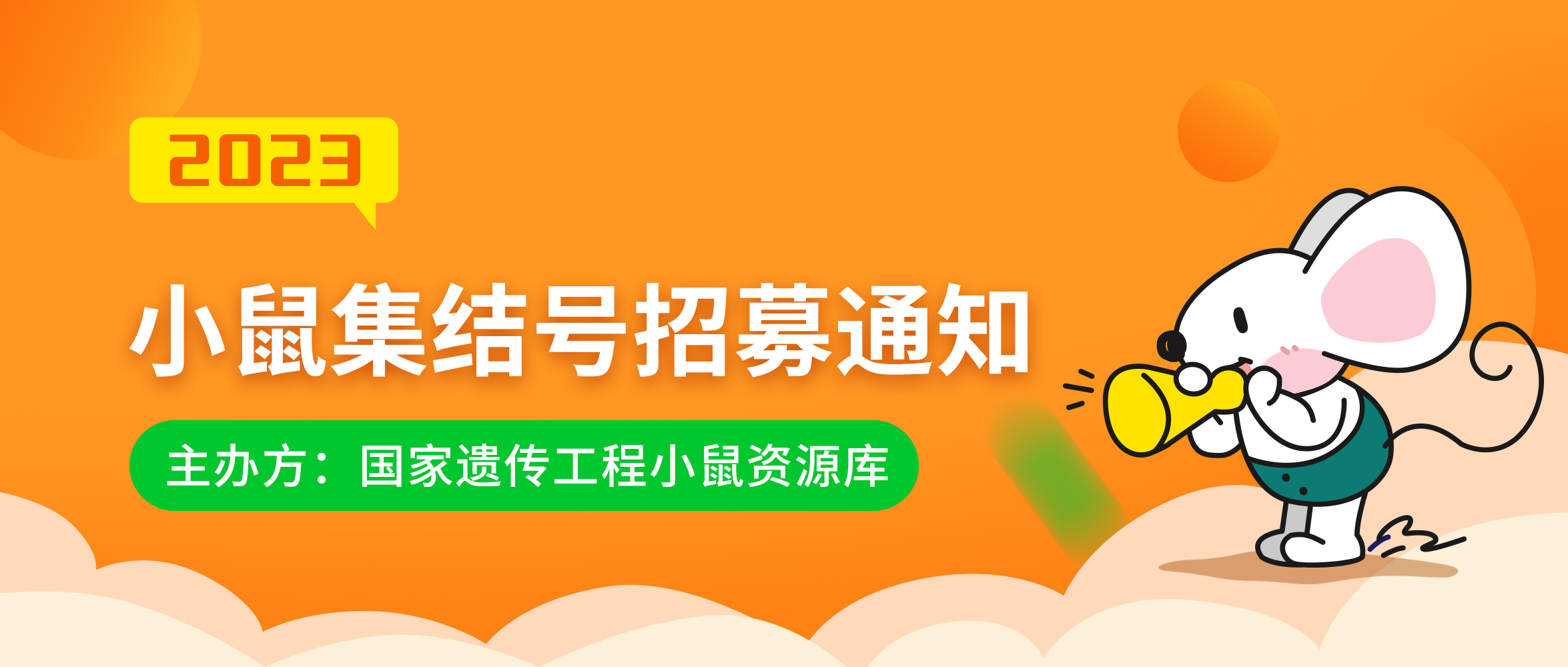 小鼠模型制作费用仅需5000元，“小鼠集结号”资助项目现已开启报名~