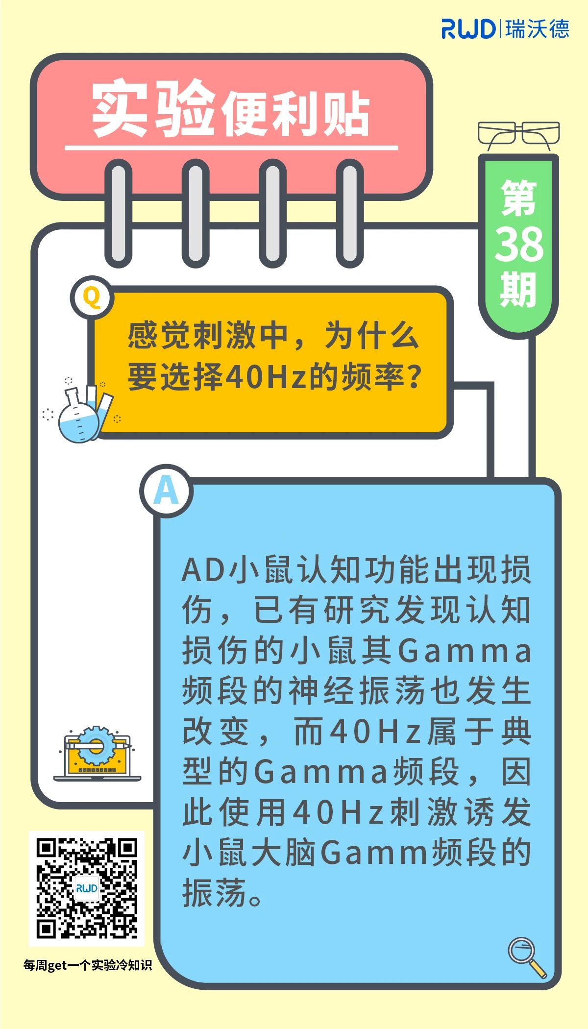 感觉刺激中，为什么要选择40Hz频率？