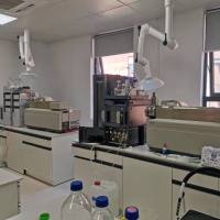 血浆蛋白结合率(多个物种)