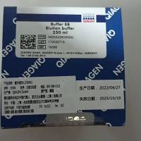 19086 QIAGEN 凯杰优秀代理商 Buffer EB (250 ml)