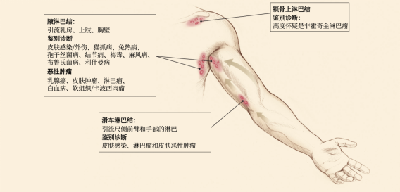 图片预览