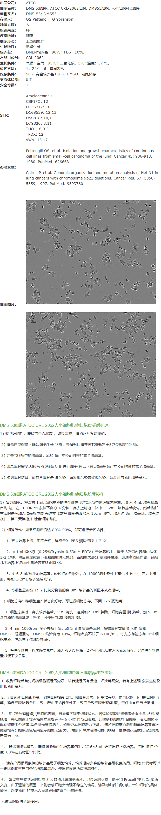 DMS 53细胞, ATCC CRL-2062细胞, DMS