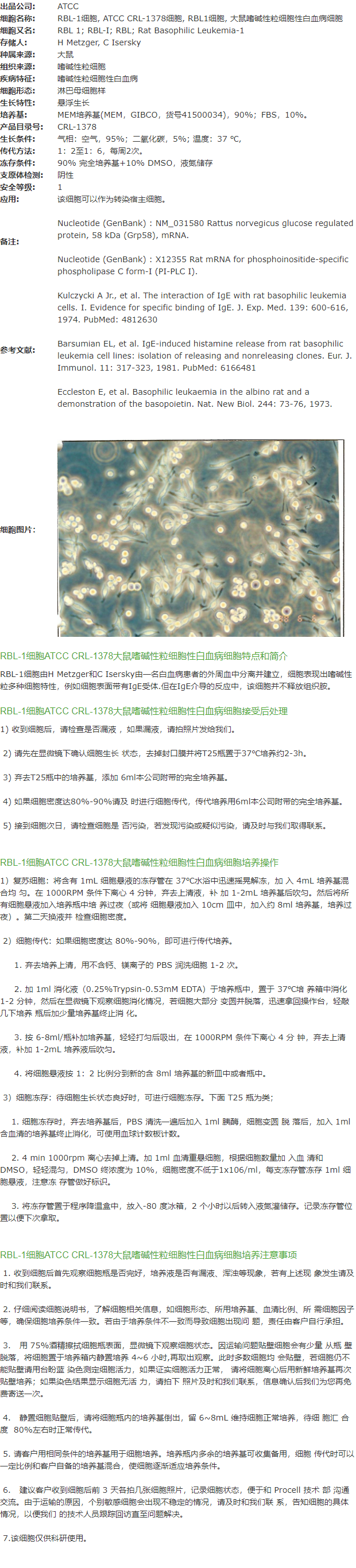 RBL-1细胞, ATCC CRL-1378细胞, RBL1