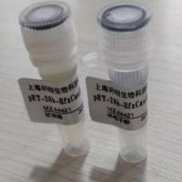 pET His6 MBP TEV LIC cloning vector (1M)质粒