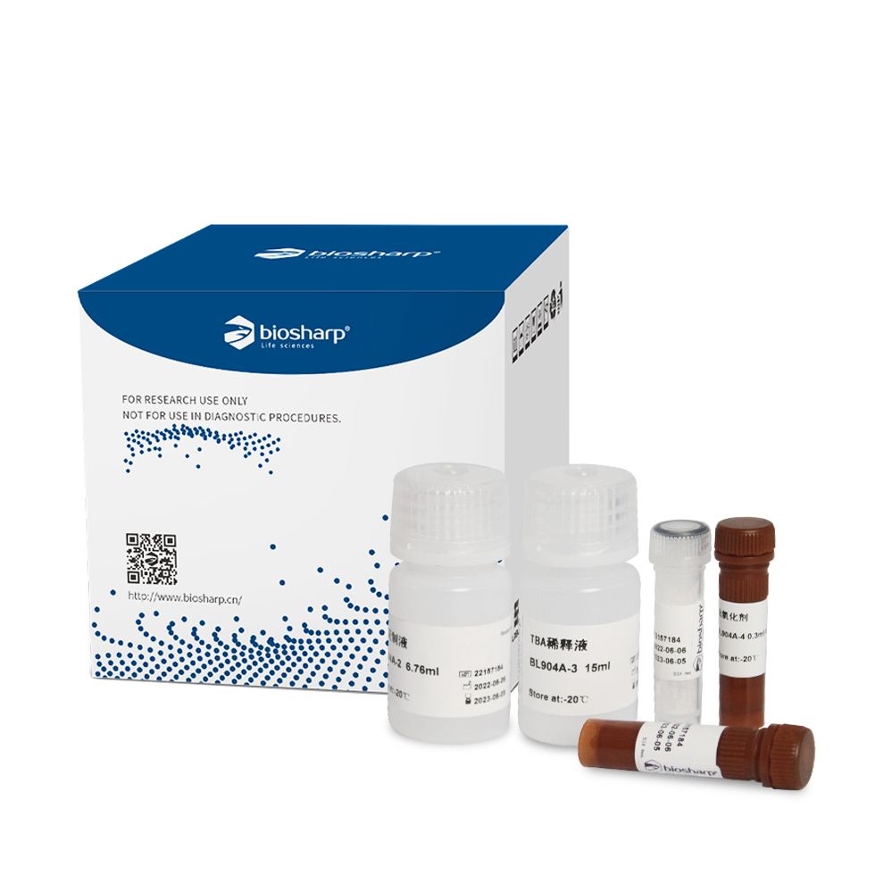 BL904A 脂质氧化(MDA)检测试剂盒