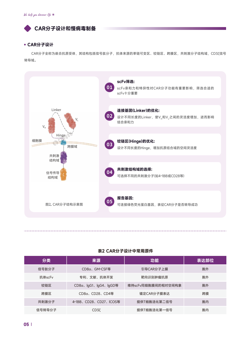 免疫细胞治疗完整解决方案