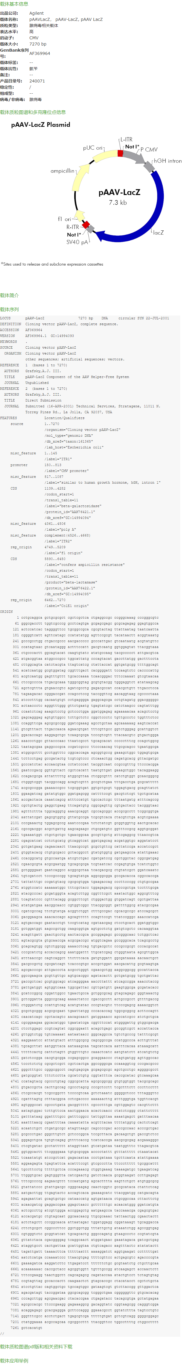 pAAV-LacZ