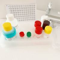 大鼠多巴胺（DA）酶联免疫(Elisa)试剂盒