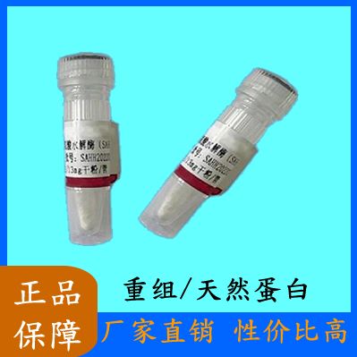 Recombinant Human CIDEA蛋白