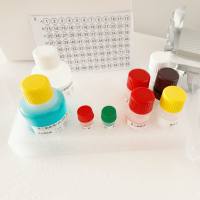 人转化生长因子β(TGF-β)酶联免疫(Elisa)试剂盒