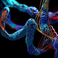 iTRAQ/IBT/TMT蛋白定量分析