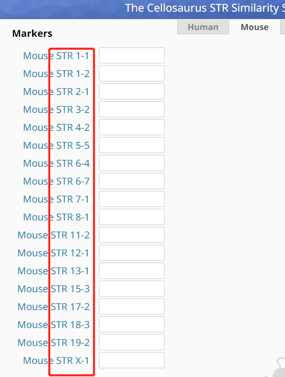 小鼠细胞STR鉴定的检测问题和结果解释