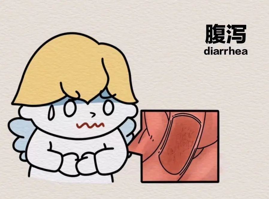 中招诺如,又拉又吐?除了抢「止泻神药」还可这样应急