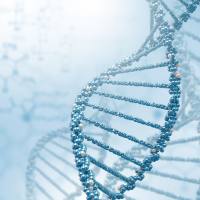 全基因组 Bisulfite 甲基化测序