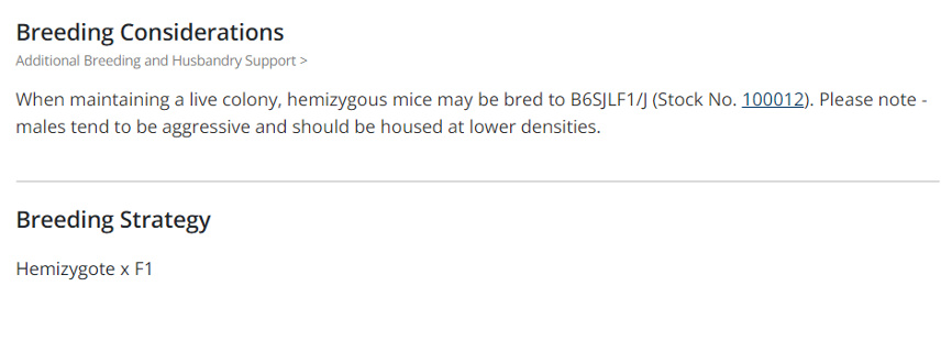 小鼠基础知识十｜买买买避坑攻略，J 博士教你引进繁育对的注意事项