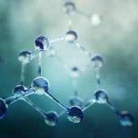 非靶向植物代谢组学