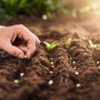 动植物全基因组重测序