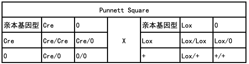 小鼠基础知识十一｜如何制定合适的繁育策略
