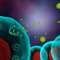 外泌体样本定制化处理