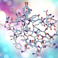 微量样本蛋白定量分析