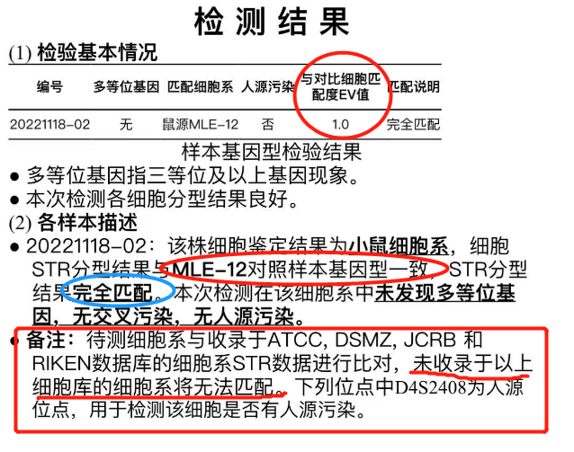 小鼠细胞STR鉴定的检测问题和结果解释