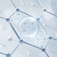 非靶向代谢组学