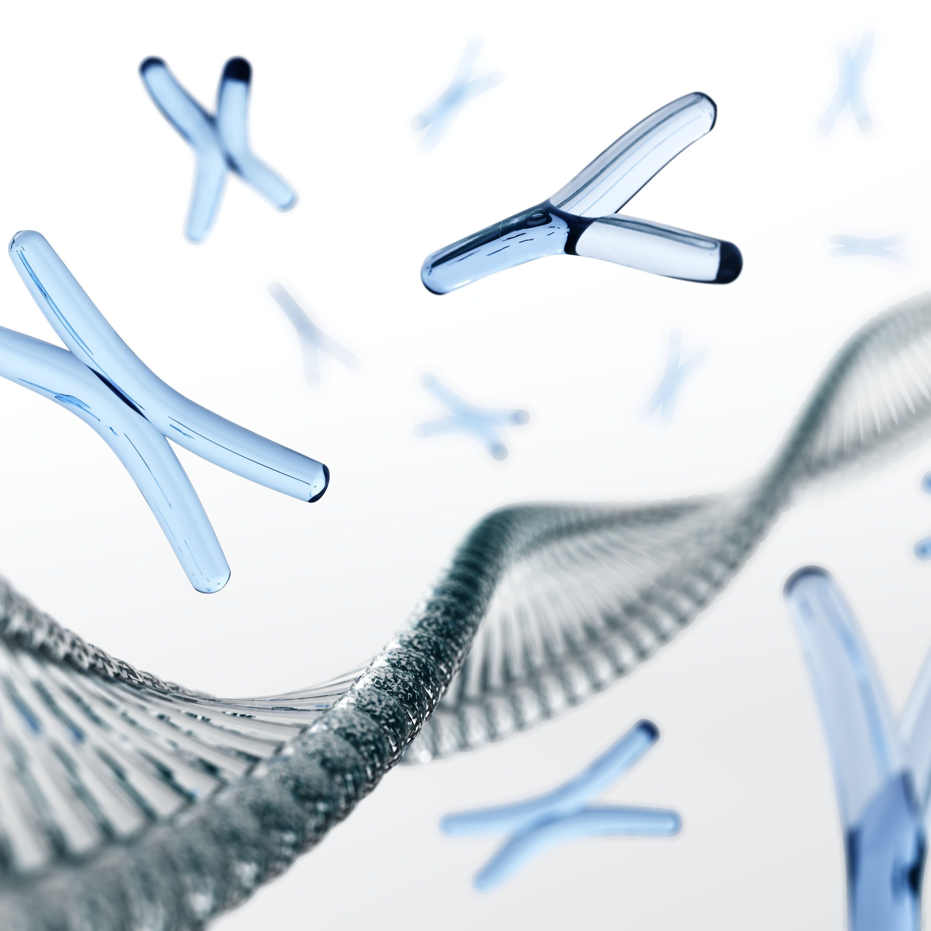 ATAC-Seq 染色质开放性测序