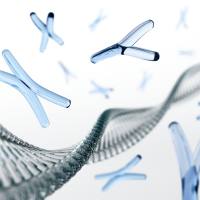 ATAC-Seq 染色质开放性测序