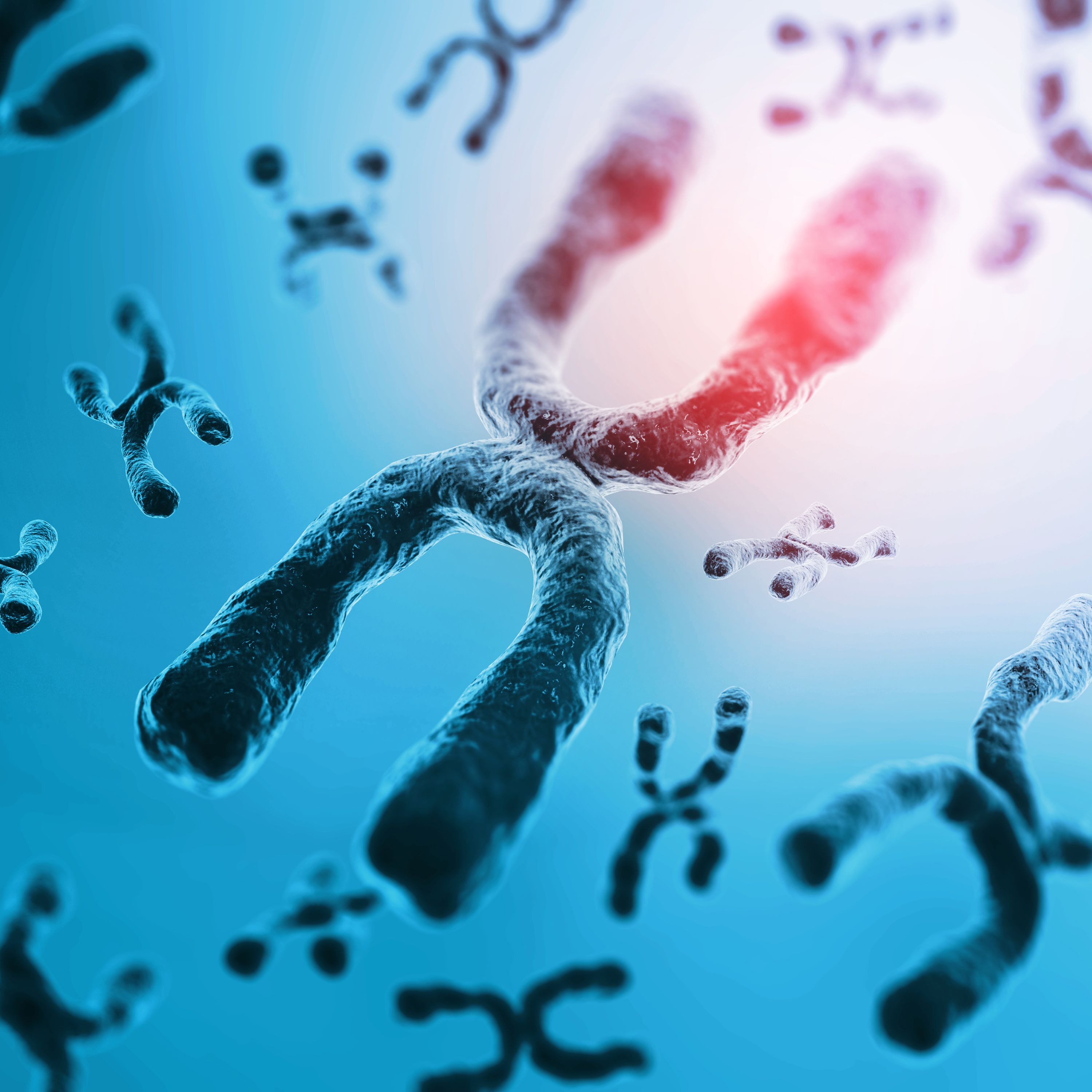 人全基因组重测序