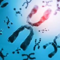 人全基因组重测序