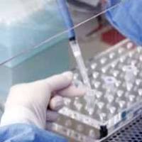 检测牛奶、组织等青霉素类等β-内酰胺药物