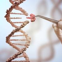 CRISPR全基因组脱靶检测