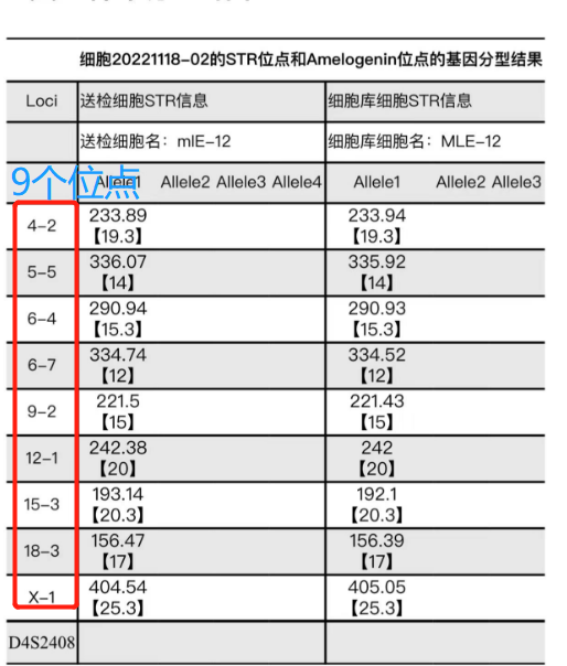 小鼠细胞STR鉴定的检测问题和结果解释