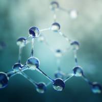 广泛靶向植物代谢组学