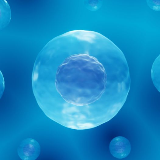 DNBelab C系列高通量单细胞RNA-Seq