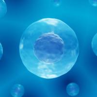 DNBelab C系列高通量单细胞RNA-Seq