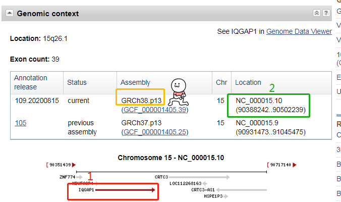 基因启动子序列查找和转录因子预测