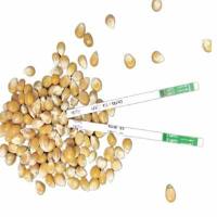 CP4转基因大豆检测试纸条